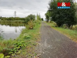 Prodej rybníku, Chotiměř, 28601 m2