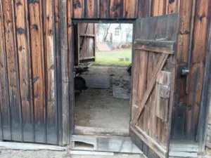 Prodej pozemku pro bydlení, Bernartice, Táborská, 680 m2