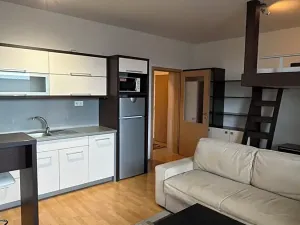 Pronájem bytu 1+kk, Kutná Hora, Tyršova, 35 m2