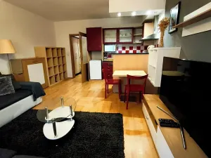 Pronájem bytu 1+kk, Plzeň, Květná, 32 m2