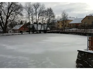 Prodej rodinného domu, Horní Radslavice, 752 m2