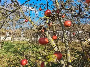 Prodej rodinného domu, Lomnička, 300 m2