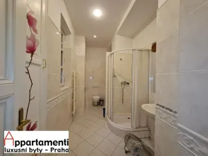 Prodej apartmánu, Praha - Staré Město, Masná, 170 m2