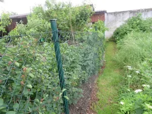 Dražba skladu, Jílové u Prahy, Pražská, 10 m2