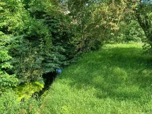 Dražba pozemku, Tuhaň, 972 m2