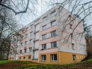 Pronájem bytu 1+1, Ústí nad Labem, Tolstého, 44 m2
