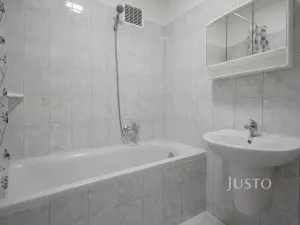 Pronájem bytu 1+1, Ústí nad Labem, Tolstého, 44 m2