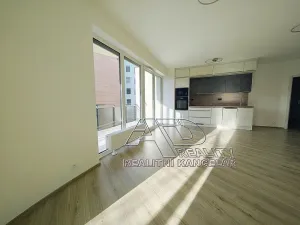 Pronájem bytu 2+kk, České Budějovice, Na Zlaté stoce, 50 m2