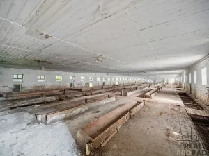 Prodej zemědělského objektu, Přelouč - Mělice, 7117 m2
