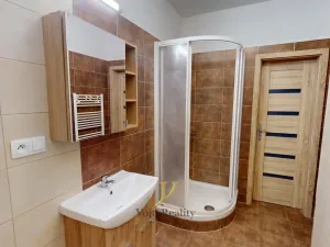 Pronájem bytu 1+kk, Olomouc, Vídeňská, 60 m2