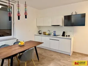 Pronájem bytu 1+kk, Brno - Brno-město, 50 m2