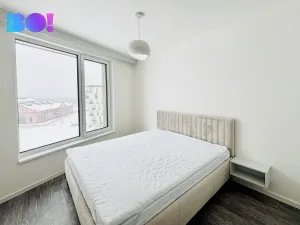 Pronájem bytu 2+kk, Ostrava, F. X. Riepla, 80 m2