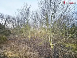 Prodej pole, Sulejovice, 1549 m2