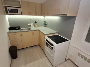 Pronájem bytu 1+1, Brno - Husovice, Svitavská, 31 m2