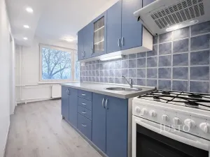 Pronájem bytu 1+1, Ústí nad Labem, Tolstého, 44 m2