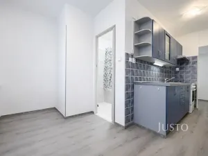 Pronájem bytu 1+1, Ústí nad Labem, Tolstého, 44 m2