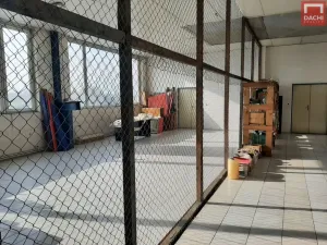 Pronájem kanceláře, Olomouc, Šlechtitelů, 299 m2