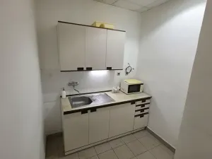 Pronájem výrobních prostor, Brno, Bieblova, 185 m2