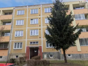 Pronájem bytu 2+1, Bílina - Teplické Předměstí, M. Švabinského, 55 m2