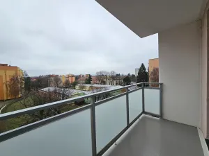 Prodej bytu 1+1, Vyškov, Puškinova, 33 m2