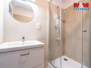 Prodej bytu 1+1, Cvikov - Cvikov II, Sídliště, 41 m2