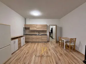 Pronájem bytu 1+kk, Olomouc - Hodolany, Geislerova, 50 m2