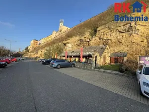 Pronájem restaurace, Mladá Boleslav, Ptácká, 410 m2
