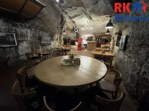 Pronájem restaurace, Mladá Boleslav, Ptácká, 410 m2