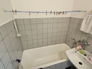 Prodej bytu 3+1, Březnice, Borská, 64 m2