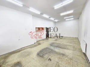 Prodej výrobních prostor, Odry - Vítovka, 372 m2