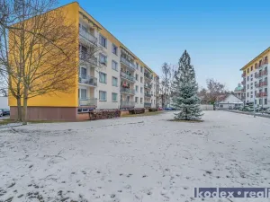 Prodej bytu 2+1, Lázně Bohdaneč, Na Lužci, 62 m2