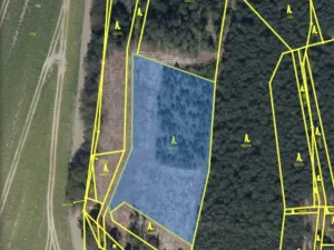 Prodej lesa, Veliny, 4968 m2