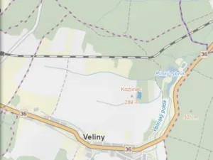 Prodej lesa, Veliny, 4968 m2