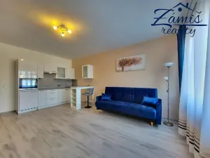 Pronájem bytu 1+kk, Otvovice, 35 m2