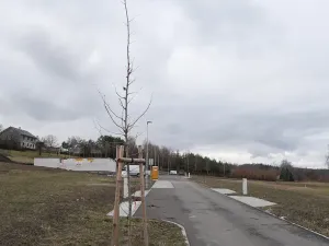 Prodej pozemku pro bydlení, Malíkovice, 1157 m2