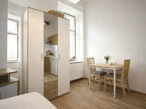 Pronájem bytu 1+kk, Brno, Koliště, 20 m2