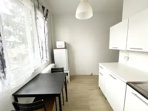 Prodej bytu 1+1, Kralupy nad Vltavou, Předmostí, 38 m2