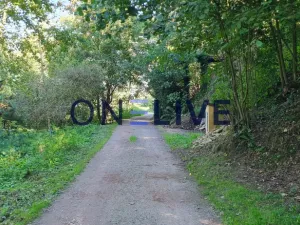 Prodej chaty, Bdeněves, 19 m2