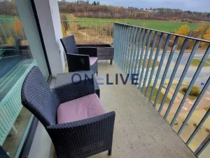 Pronájem bytu 1+kk, Plzeň, Na Chmelnicích, 35 m2