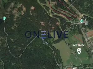 Prodej louky, Železná Ruda - Špičák, 2832 m2