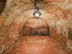 Prodej - jiné, Milotice, 321 m2