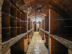 Prodej - jiné, Milotice, 321 m2