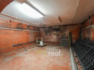 Prodej - jiné, Milotice, 321 m2