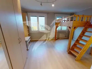 Pronájem bytu 1+kk, Plzeň, Hodonínská, 31 m2