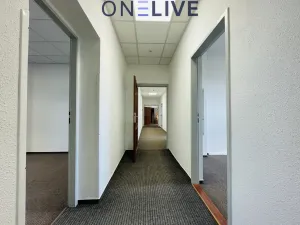 Pronájem kanceláře, Plzeň, náměstí T. G. Masaryka, 365 m2