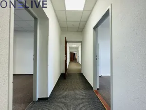 Pronájem kanceláře, Plzeň, náměstí T. G. Masaryka, 365 m2