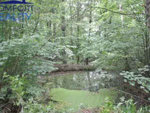 Prodej lesa, Havířov - Životice, Olšová, 5996 m2