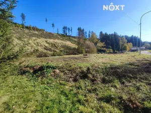 Prodej zahrady, Staré Buky, 2666 m2