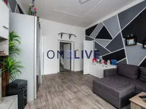 Prodej vícegeneračního domu, Jablonec nad Nisou, Palackého, 282 m2