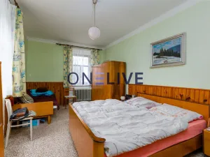 Prodej zemědělského objektu, Hvozd - Hodoviz, 500 m2